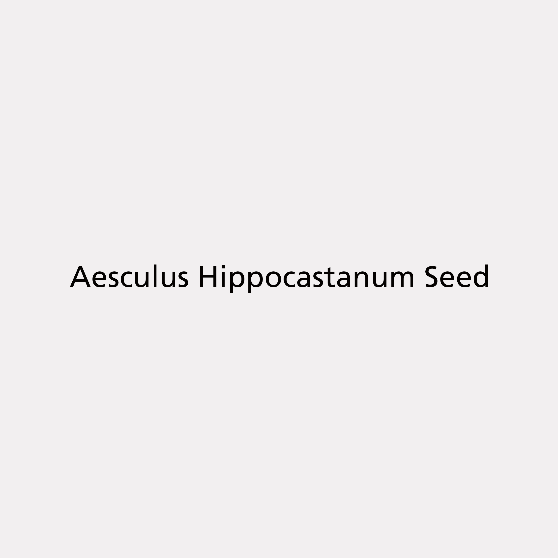 Aesculus Hippocastanum Seed